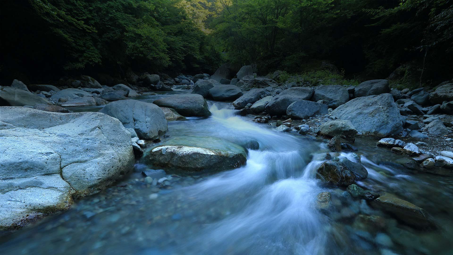 Agua limpia corriendo entre rocas